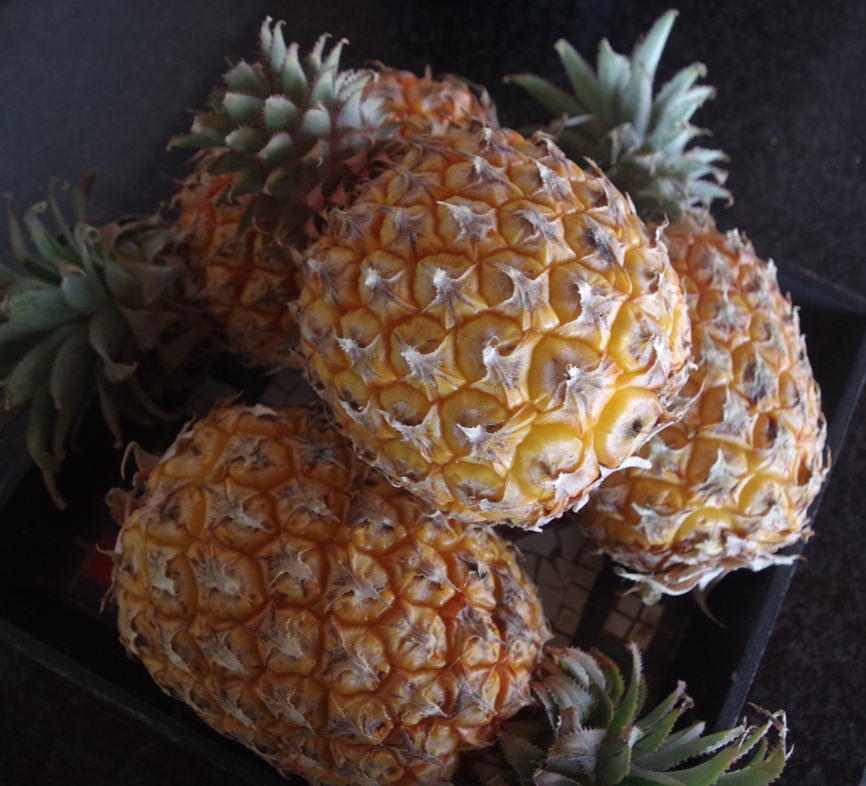 Kerriepynappelblatjang