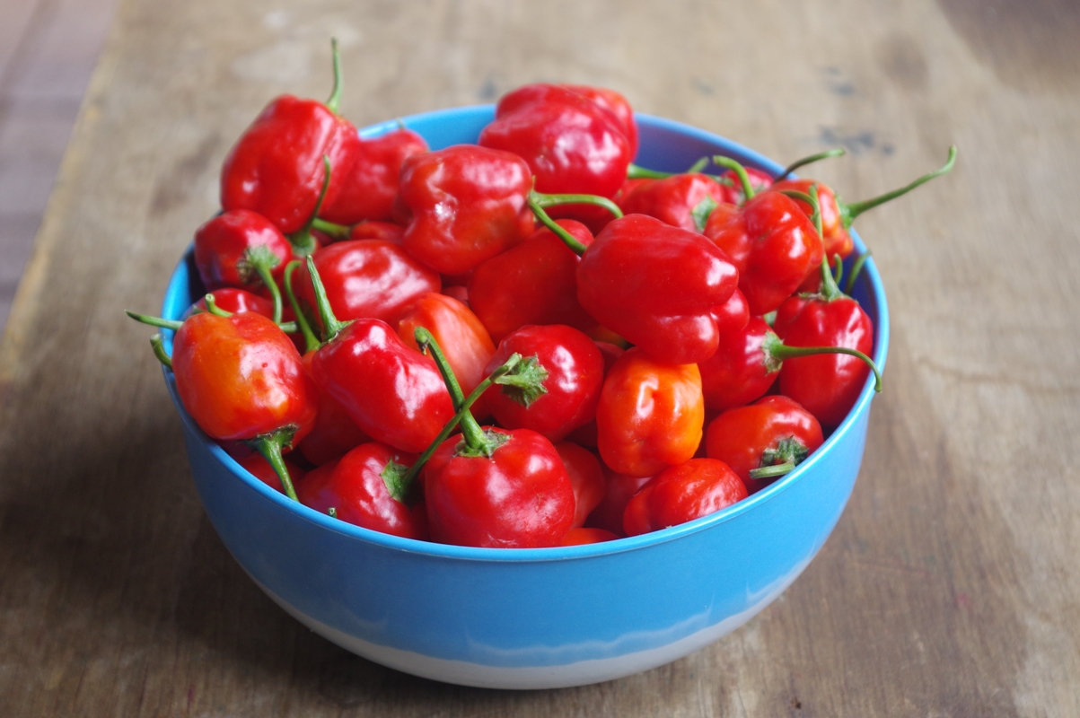 Bottel pikante rissies (peppadews)